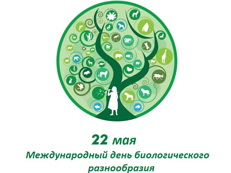 22 мая Международный день биологического разнообразия 019