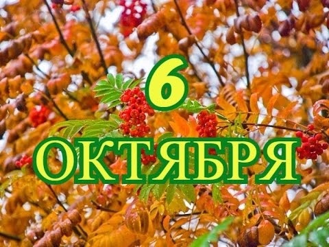 6 октября День российского страховщика 005