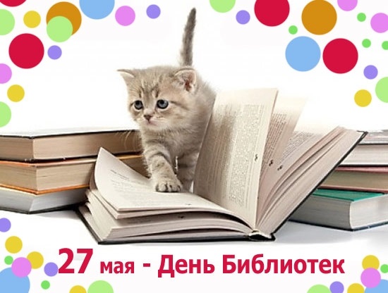 Всероссийский день библиотек 021