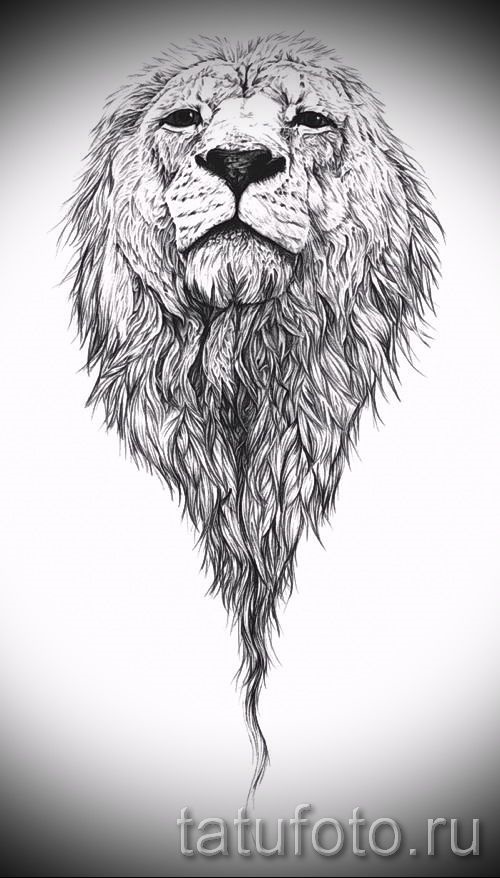 Графическое изображение льва 016