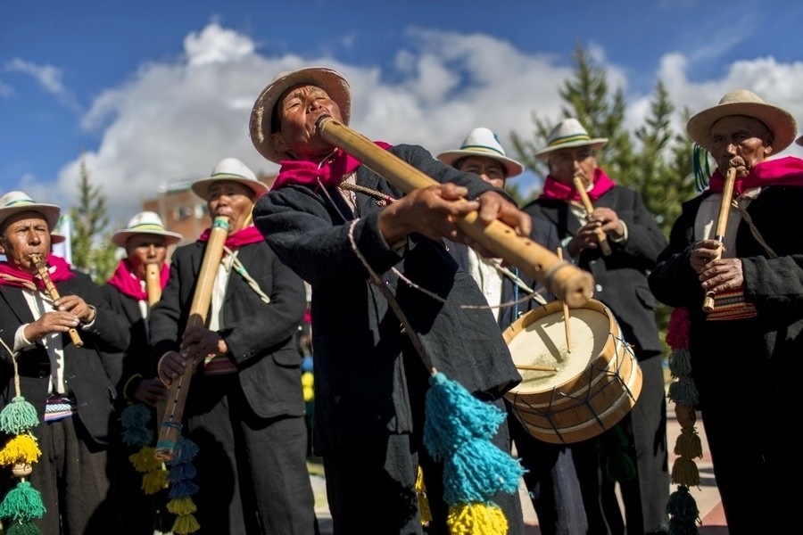 День креольской музыки в Перу 008