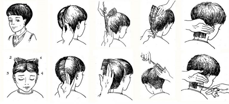 Схемы головы для парикмахеров для печати