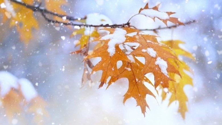 Картинки первый снег в октябре019
