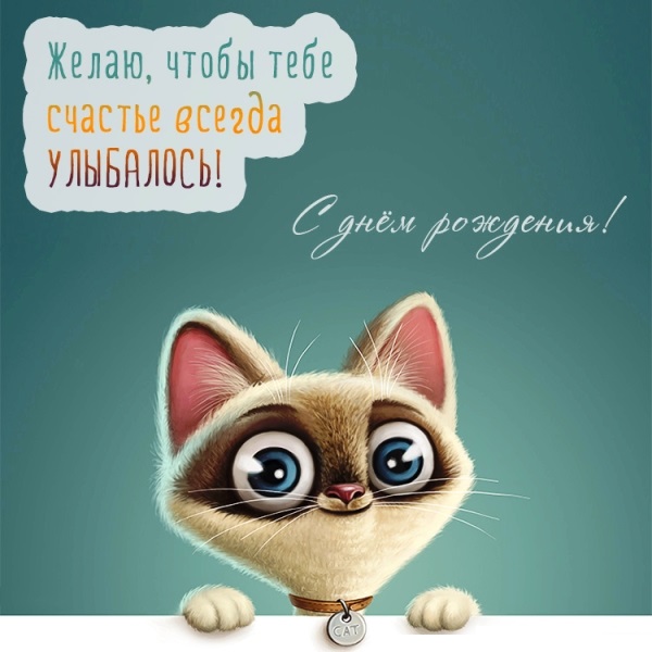 Смешные открытки с котами «С Днем рождения» (40 картинок)