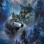 Красивые волки пейзаж014