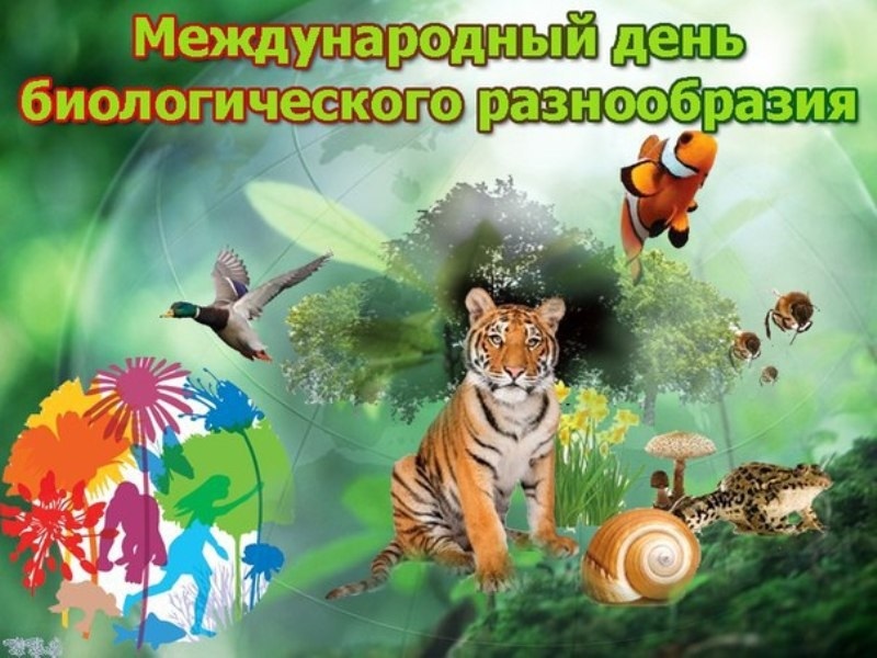 Международный день биологического разнообразия 010