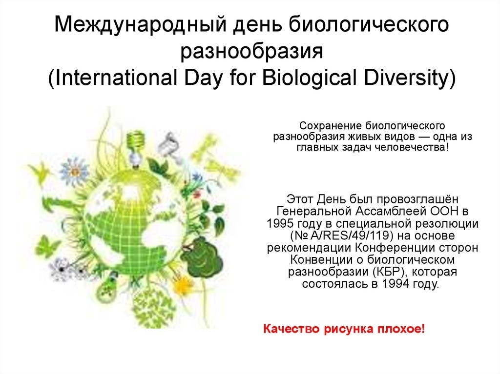 Международный день биологического разнообразия 012