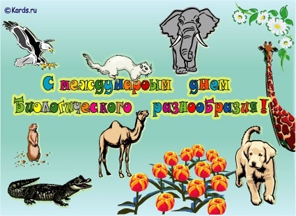 Международный день биологического разнообразия 014
