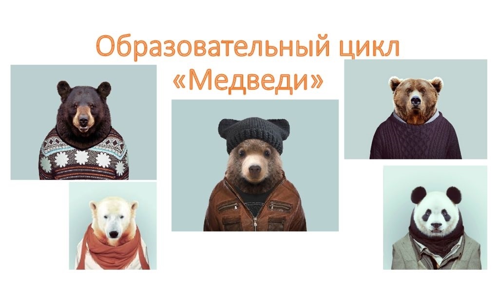 Международный день плюшевого мишки (International Teddy Bear Day) 015