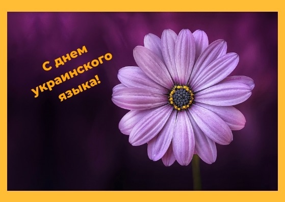 Милые картинки на 9 ноября День украинской письменности и языка003
