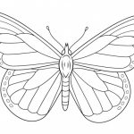 Монарх бабочка раскраска для детей 022