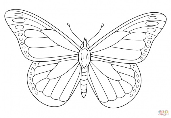 Монарх бабочка раскраска для детей 022