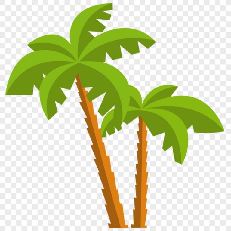 Картинка пальма для фотошопа