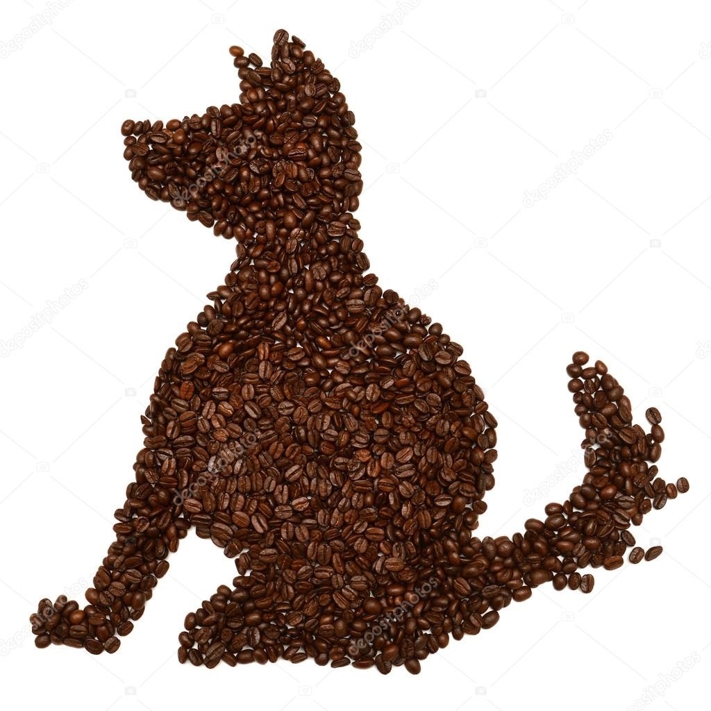 Собака из кофейных зерен фото015