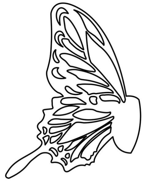 Шаблон крыльев бабочек 023