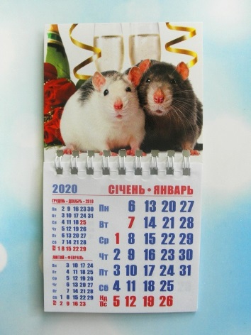 год крысы через 8 дней 017