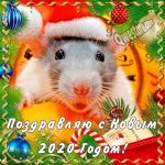 картинки классные новый год крысы 021