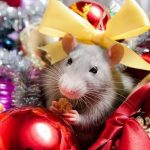 картинки праздника новый год крысы 024