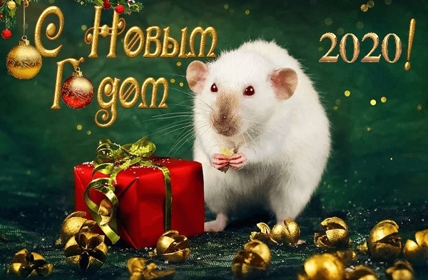 красивые открытки на новый год крысы 2020 011