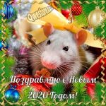 красивые открытки на новый год крысы 2020 022