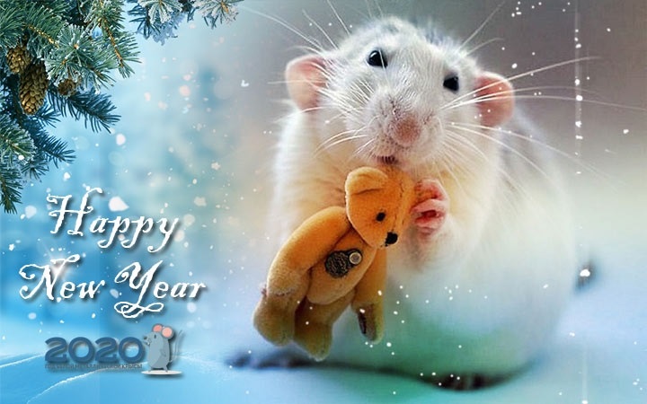 нарисованные картинки на новый год крысы 006