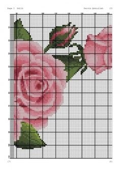 Красивые картинки вышивка крестом розы бордюр005