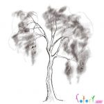 Красивые картинки скетчинг деревья009