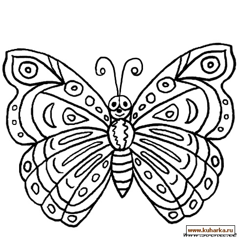 Красивые картинки трафарет бабочки из айсинга015