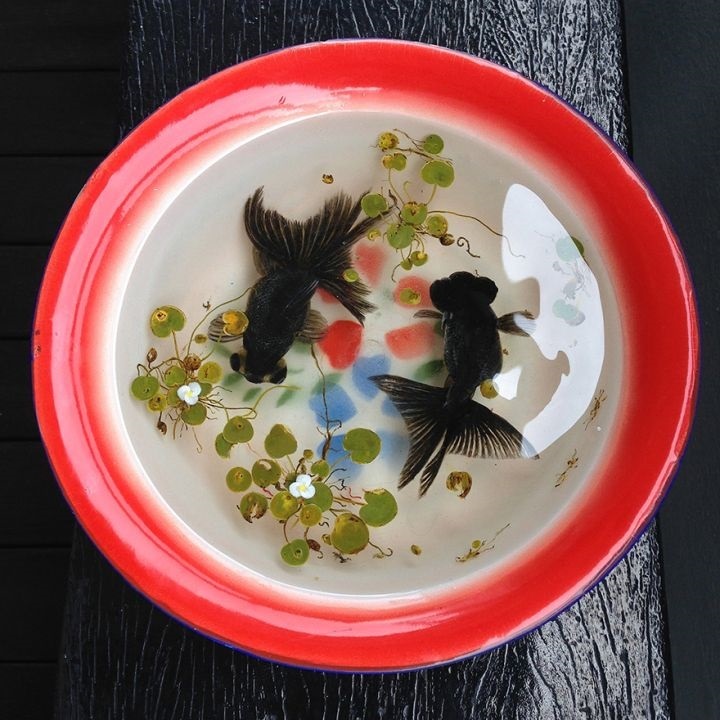 Рисунок рыбы на тарелке 013