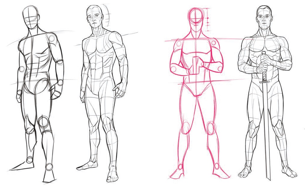 Покажи рисунки тела человека. Мужское тело референс пропорции. Человек в полный рост референс анатомия. Пропорции тела мужчины для рисования. Эскиз тела человека.