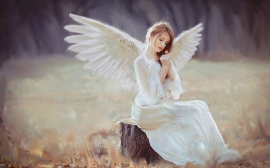 Арты ангел девушка 025