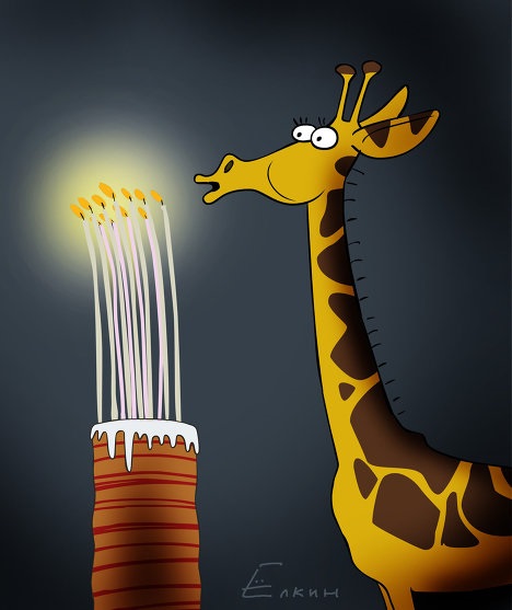 Жирафы с днем рождения 011