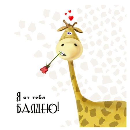 Жирафы с днем рождения 012