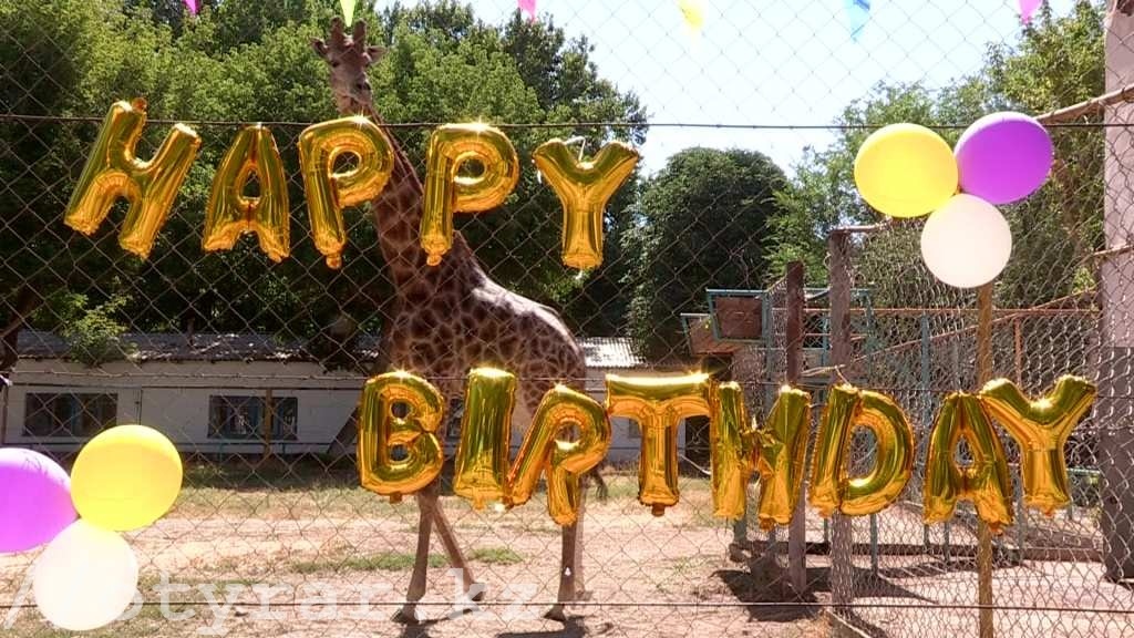Жирафы с днем рождения 019