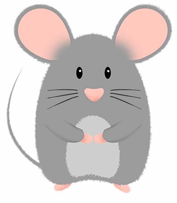 Мышка на прозрачном фоне картинка для детей 023