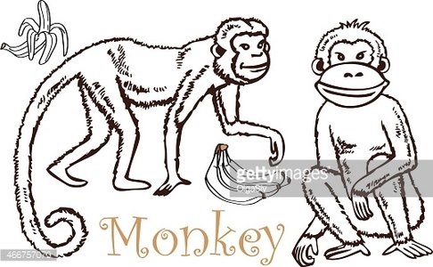 Рисунки обезьянки 020