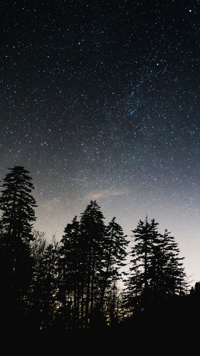 Звездное Небо Фото В Хорошем Качестве