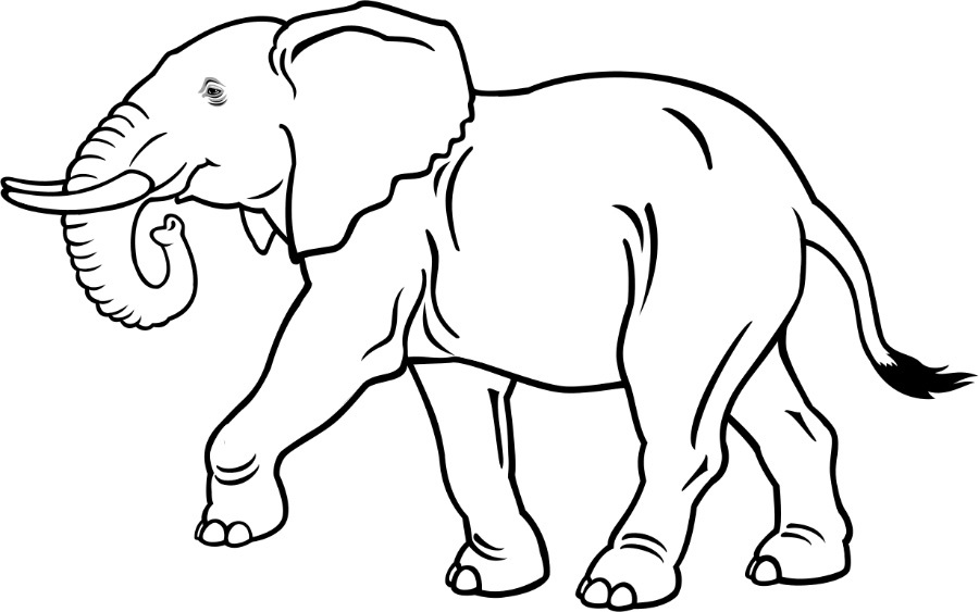 Картинки для срисовки слона 012