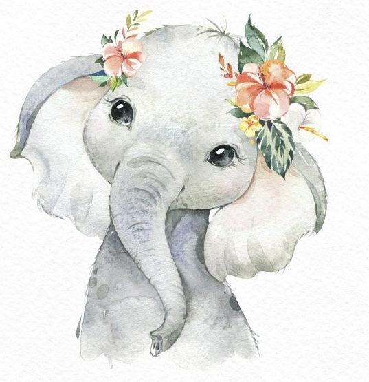 Картинки для срисовки слона 014