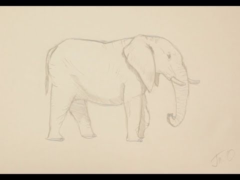 Картинки для срисовки слона 017