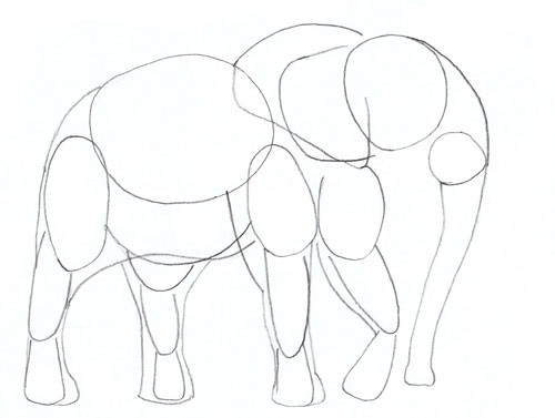 Картинки для срисовки слона 018