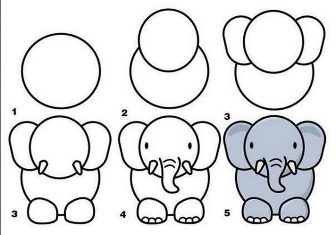 Картинки для срисовки слона 019
