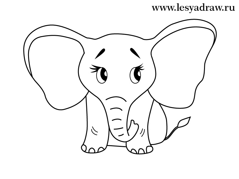 Картинки для срисовки слона 021
