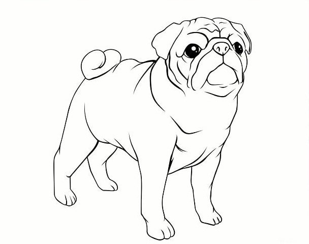 Рисунок собаки для срисовки 003