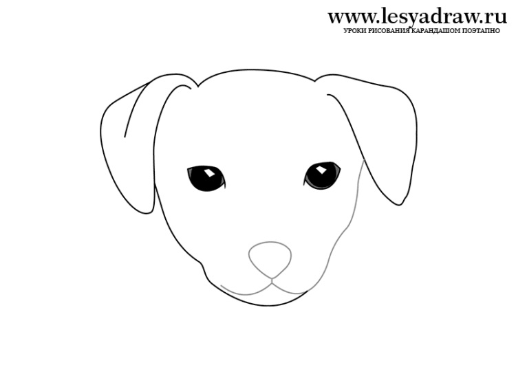 Рисунок собаки для срисовки 012