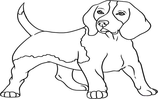 Рисунок собаки для срисовки 016
