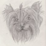 Рисунок собаки для срисовки 027