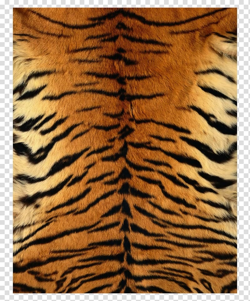 Тигровый фон на айфон 007