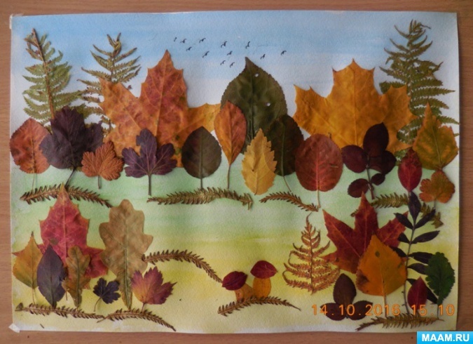 Картинки веселые осенние листья (8)