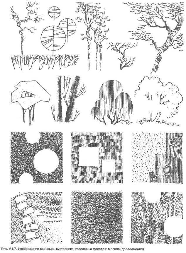 Картинки деревья в графике (3)